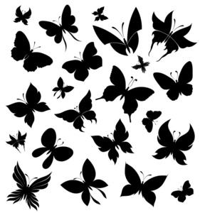一组蝴蝶