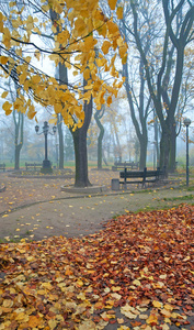 秋天公园雾蒙蒙的早晨