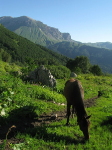 山，山岳 mountain的名词复数  山脉 群山