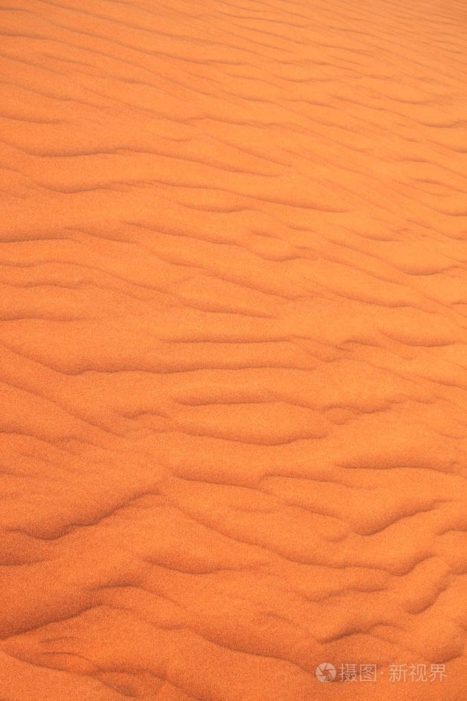 纹理的沙漠沙丘