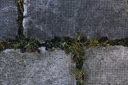 在长满绿草有趣的纹理的沥青路面上的大城市瓷砖