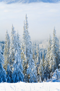 冬季山岳景观