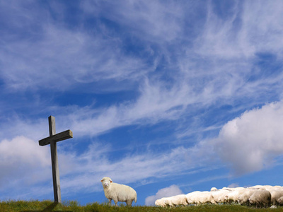 heterodoxy异端图片