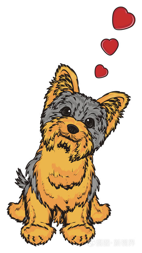 可爱约克夏犬