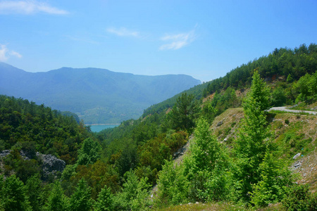 风景林 山 河