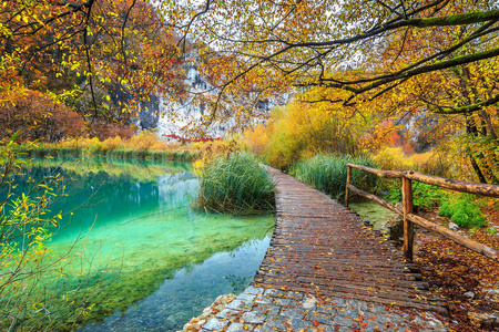 多彩的秋天森林，十六湖，克罗地亚惊险旅游途径