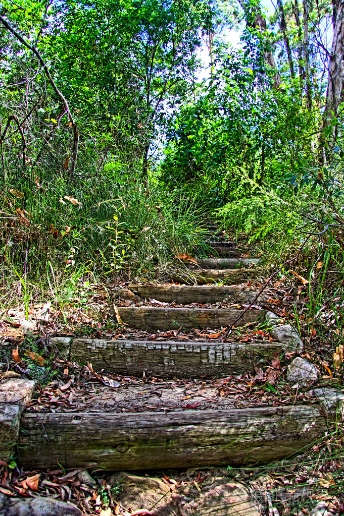 树林里的楼梯照片-正版商用图片01xbmv-摄图新视界