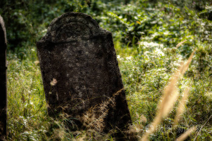旧废弃的犹太墓地模糊效果图