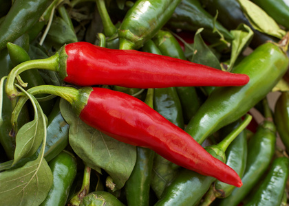 两个红辣椒躺在绿色的豆荚和叶子上