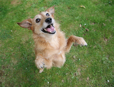 微笑咧着嘴笑图片