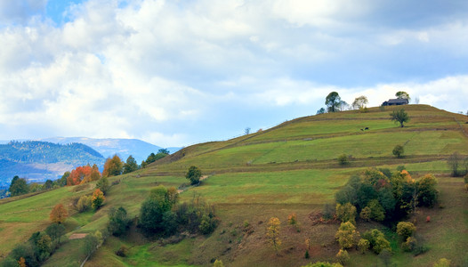 秋山村