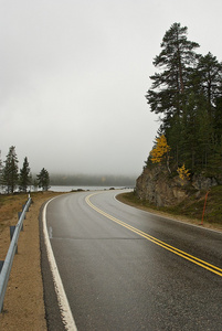 潮湿道路