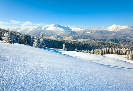 雪域景观