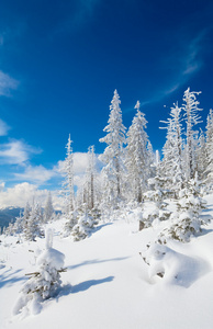 雪域景观