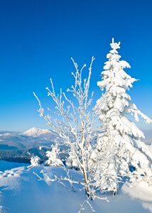 雪域景观