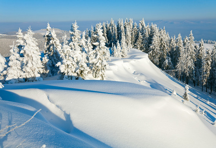 雪域景观