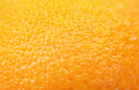 橘皮(漆病)甘油和水实验为脂肪团收集最佳草药在宝箱洗护用品胖女人在