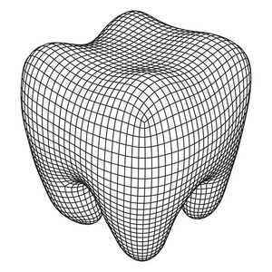 牙齿线框网格