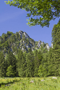 Laengentalkopf 在 Brauneck 地区