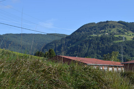 北部的山区和绿色风景