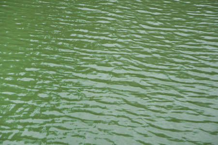 绿湖水背景