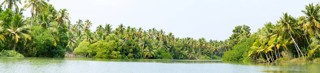 喀拉拉邦死水丛林 链的环礁湖 湖泊全景图