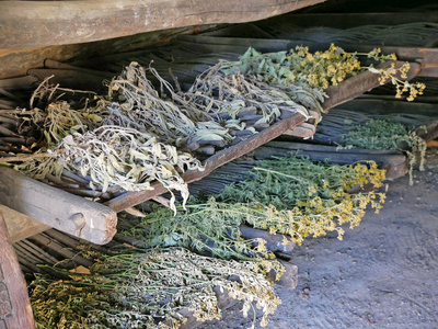 传统干燥机干燥的药草和香料