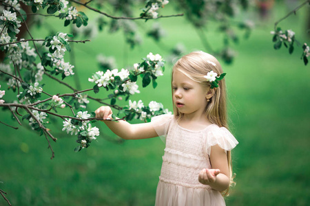 小女孩在苹果花园里散步