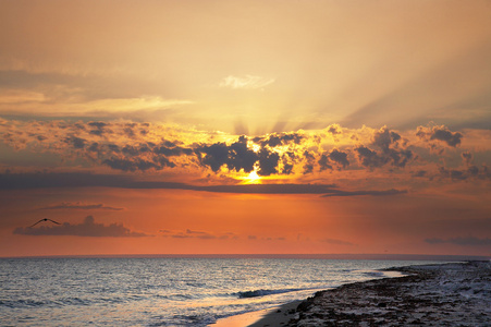 背景夕阳下的一片海