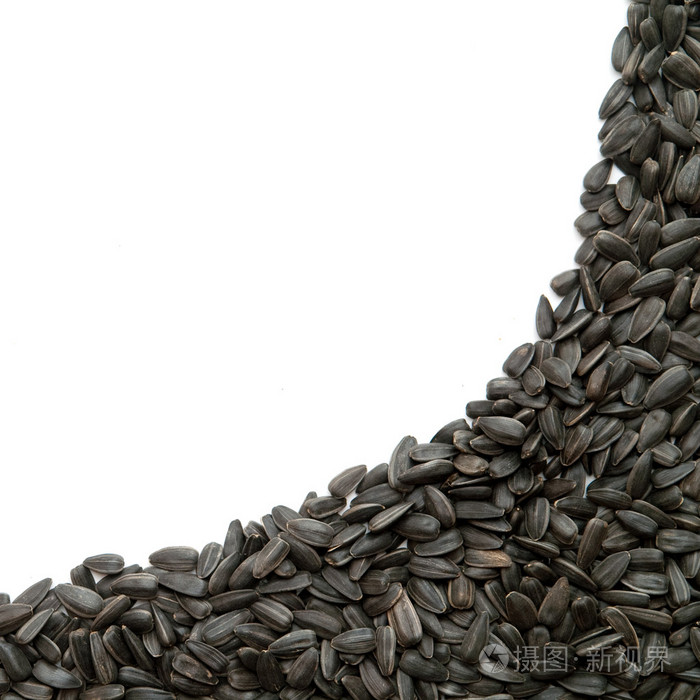 种子seed的名词复数子孙起源尤指网球比赛种子选手