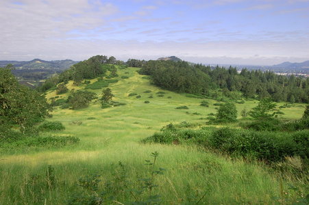 有树木的草山，位于俄勒冈州的Pisgah山顶