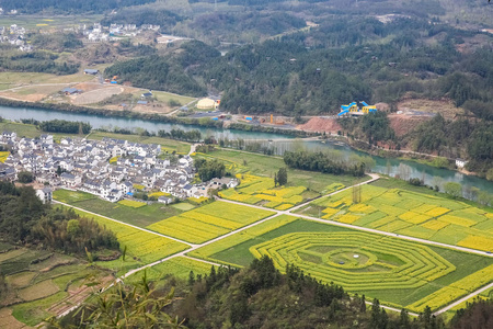 齐云山油菜花