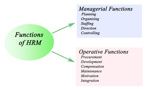 人力资源管理职能的关系图