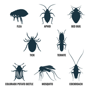 昆虫的图标集。蚂蚁和黄蜂 蟑螂和蚊子矢量图