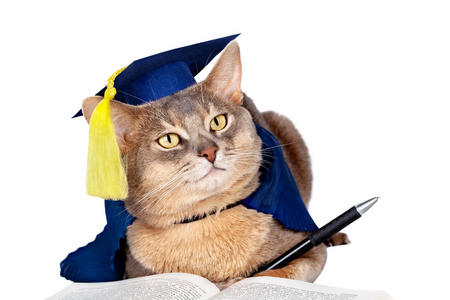猫学士图片
