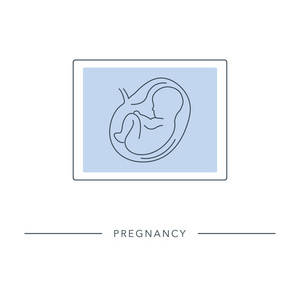 向量胎儿图标的线性样式