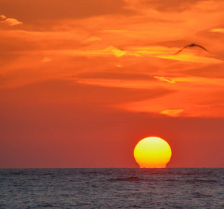 在佛罗里达州的墨西哥湾上迷人的日落美景