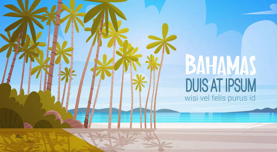 Bahamans 海岸滩美丽的海滨景观暑假概念