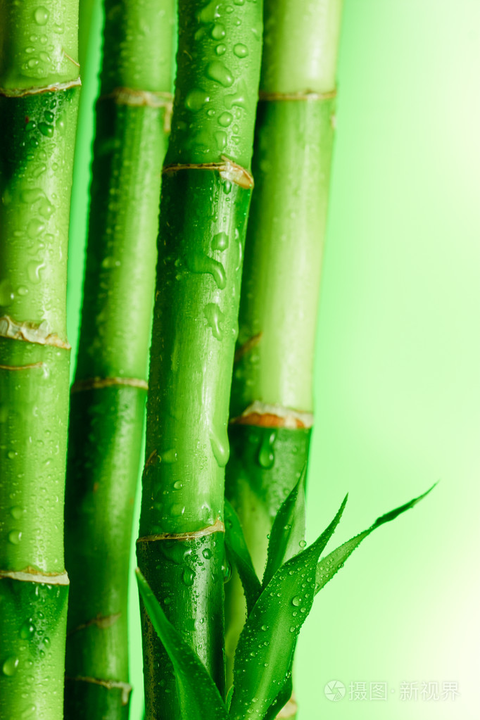 竹子竹竿竹木家具