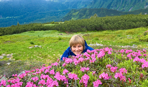 高山杜鹃花开