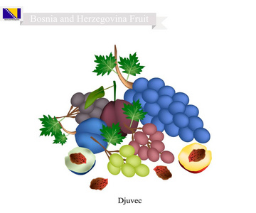 李子 葡萄 波斯尼亚和黑塞哥维那受欢迎的水果