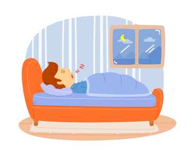 在卧室的床上睡觉的人客厅里温暖舒适的夜晚.沙发床在圣诞节室内.