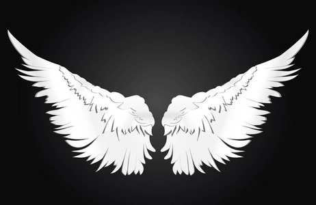 黑色和白色的翅膀图片