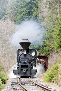 蒸汽机车牵引的列车图片