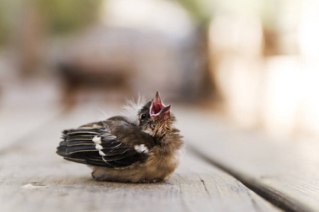 J5vtddhr2xq3zm J5vtddhr2xq3zm