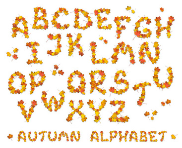 秋天的字母表字母集合