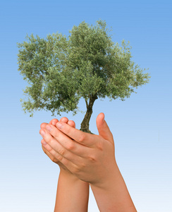 手中的橄榄树是保护自然的象征图片