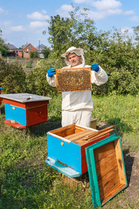 养蜂人与蜂窝的蜂场