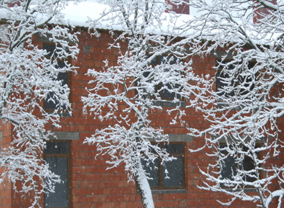 红砖建筑前的雪树图片