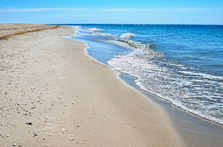 海浪冲刷清洁海滩贝壳做成。野生的海滩上景观